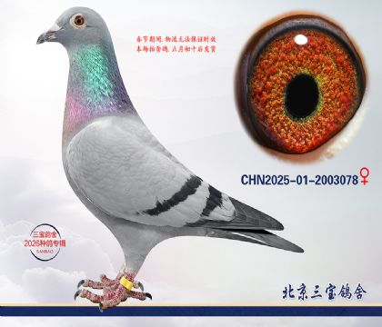 14.�°���ƥ��ƽ�����.2003078