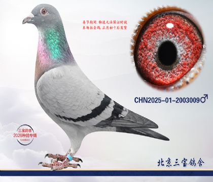 1.����x����.2003009