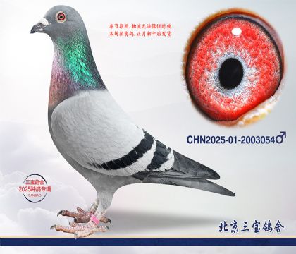 3.�ɸ��Ѫc.2003054