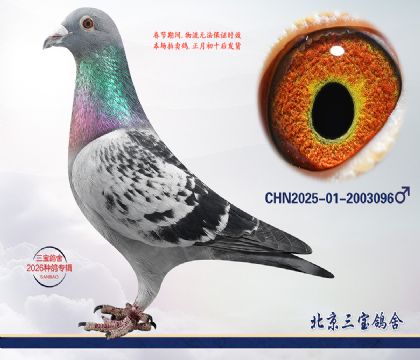 4.����x������x��ȱ��.2003096