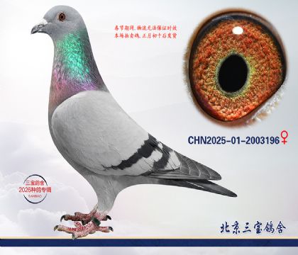 5.����x����.2003196