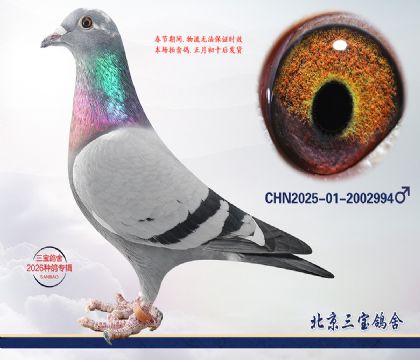 10.����x����.2002994