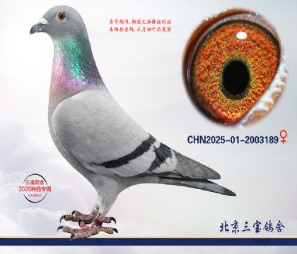 12.����x����Ѫϵ.2003189