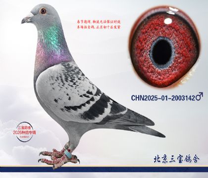 14.���Ƕ���x����.2003142