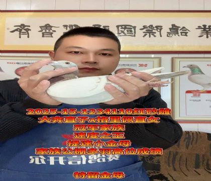 大奔直子x凡登布克格里佩直女!高级小金母