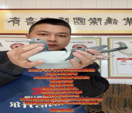 大奔直子x无限号直女!速度高级种雄