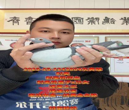 提速法宝!利奥杨直子x孙女回血种雄