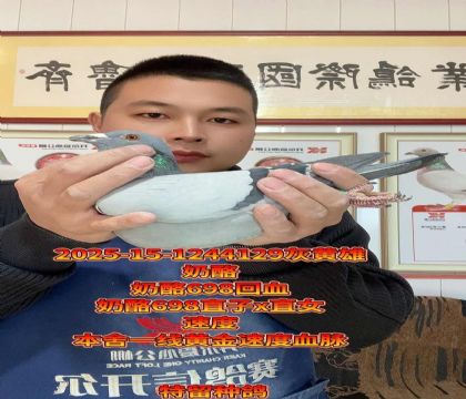 奶酪698直子x直女!速度回血高级种雄