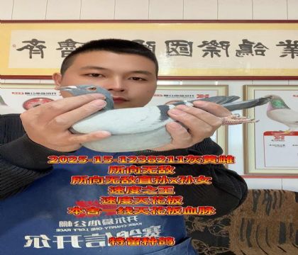 本舍一线天花板血脉!所向无敌回血