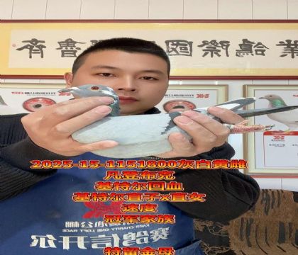 凡登布克基特尔直子x直女!回血小金母