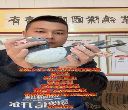 最快桑杰士!桑杰士第一武士直孙回血种雄