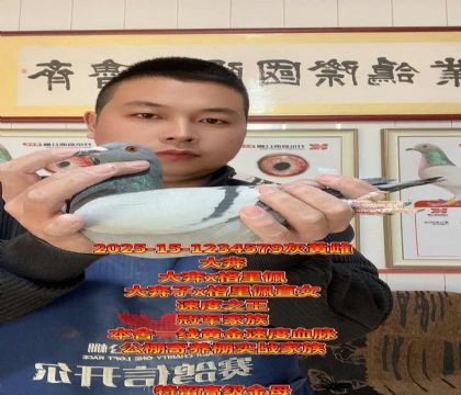 完美金母!大奔直子x凡登布克格里佩直女