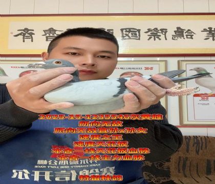 本舍一线天花板血脉!所向无敌回血金母