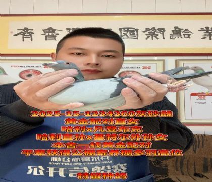 黄金配对直女!哈利直孙x凡登布克