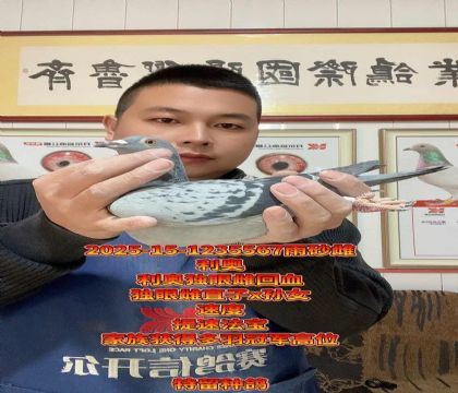 提速法宝!利奥独眼雌直子x孙女