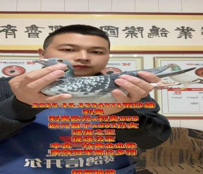 提速取款机!利奥欧元直子x003孙女