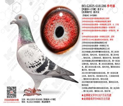 ���������Ǫ����ֱ�ӡ����¸Һ�ֱ��Ů