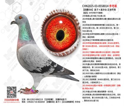 ����098ֱ�ӡ�ֱ��Ů