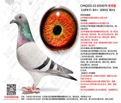 ��ƴ����ֱ����ʼһ�ֱ��Ů