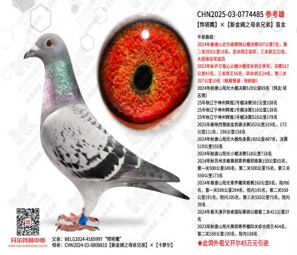 ����ӥ���½�ķ֮ĸ���ֵ�ֱŮ