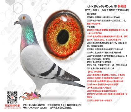 ����ֱ���22������վ˫�ص�286��