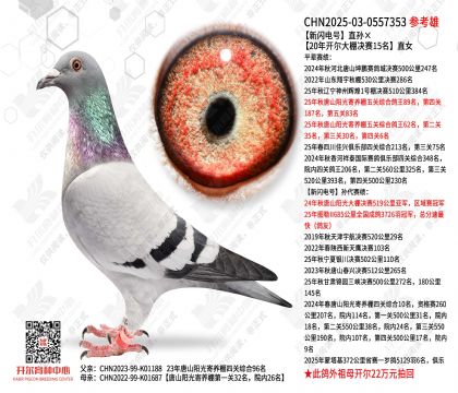 �������ֱ���20�꿪���������15��ֱŮ