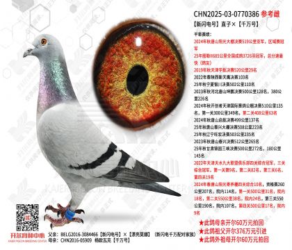 �������ֱ�ӡ�ǧ���