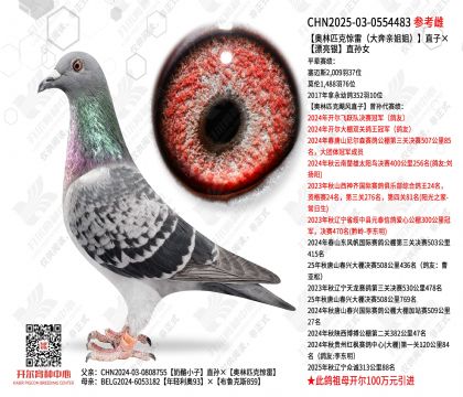 ����ƥ�˾��ף����׽�㣩ֱ�ӡ�Ư����ֱ��Ů