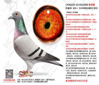 ������ֱ���20������ȫ�ܸ����ھ�