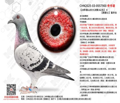 24�괺ɽũ�����162����ҹ��ʿֱ��Ů