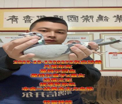 高级金母!基特尔直子x直女回血!高级