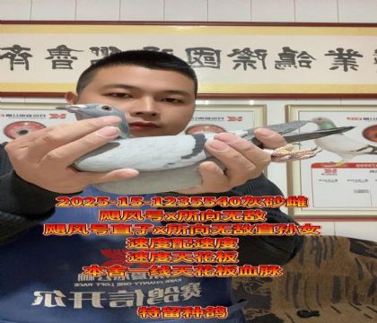 飓风号直子x所向无敌直孙女!天花板金母