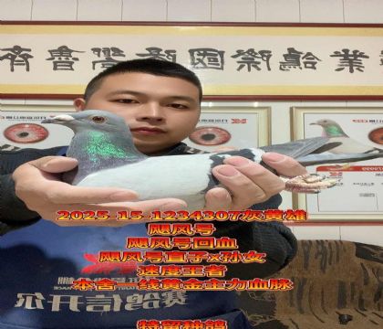 飓风号回血种雄!飓风号直子x孙女