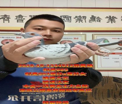 提速法宝!利奥003直孙x孙女回血种雄