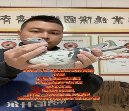 利奥力量号金母!力量号直子x孙女