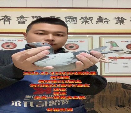 保时捷911回血金母!提速小金母