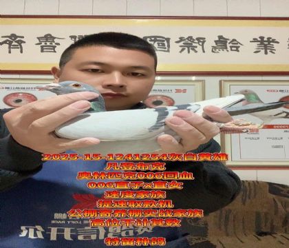 速度王者种雄!奥林匹克006回血