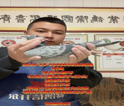 利奥力量号回血!力量号直子x孙女