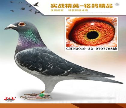 �ں���   ����