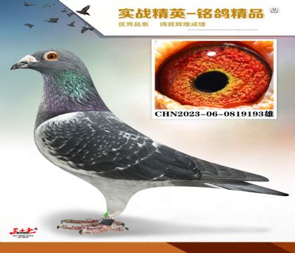 ��Ƥ�����������Ǿ�