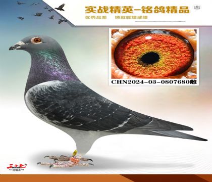 ����ֱ���䰮��ֱŮ    ���׻�Ѫ