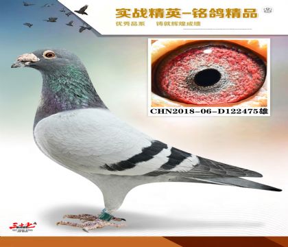 ����ɣ��ʿ ����78��