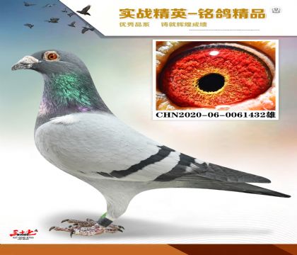 �����ϻ���