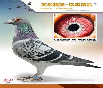 ������63