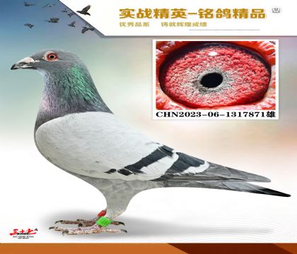 ������䷲��