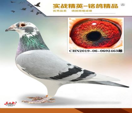 ���򻨼��壬