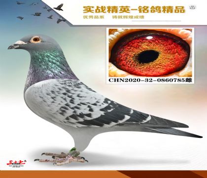 ������63�����