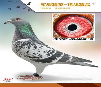 ������63   �����������ʼ����i