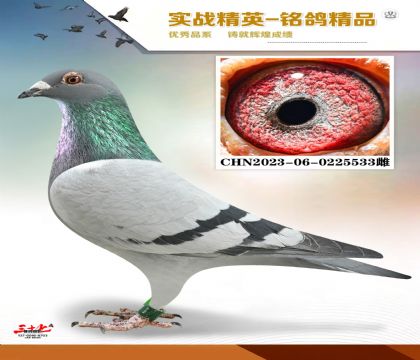 ����ɣ��ʿ