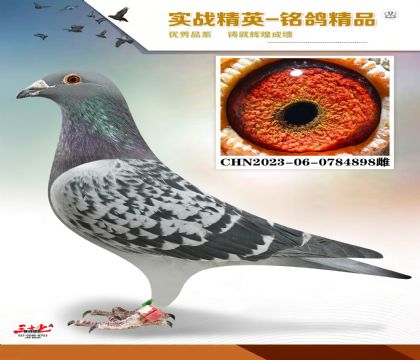 �������������